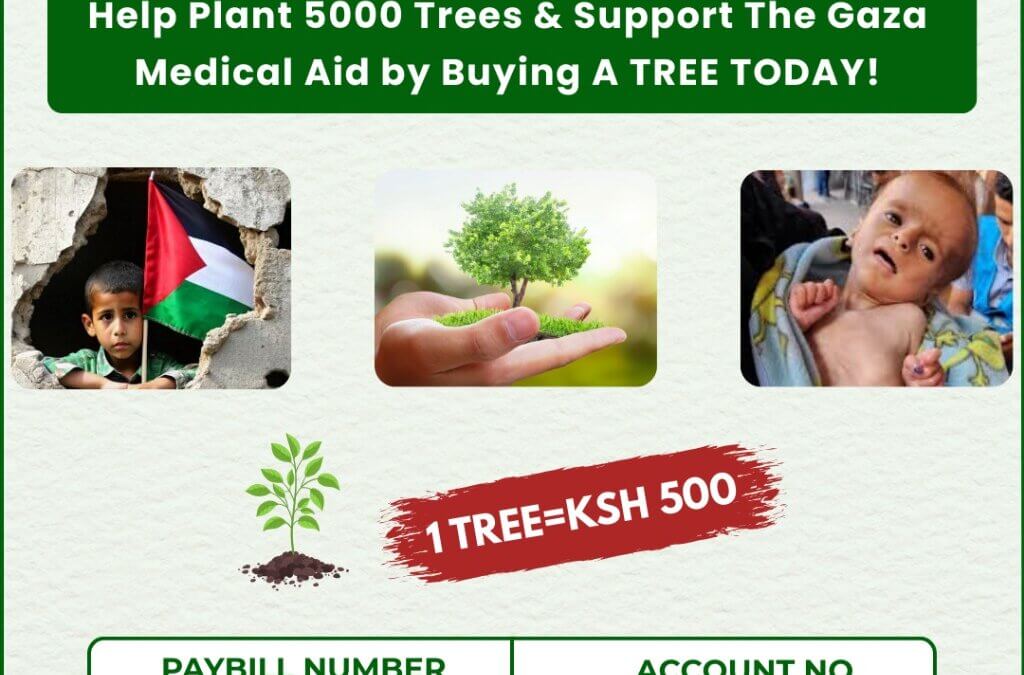 Plant a Tree, Save a Life: Tree4Gaza Campaign